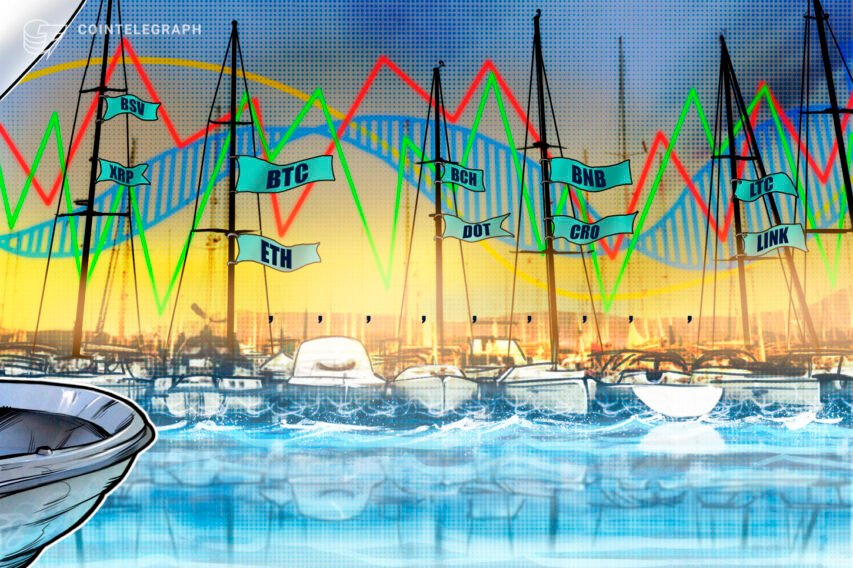 Worth evaluation 9/23: BTC, ETH, XRP, BCH, DOT, BNB, CRO, LTC, LINK, BSV