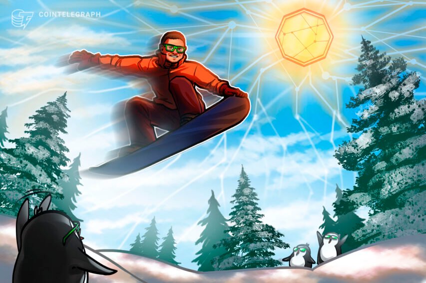 The the explanation why I left a snug authorities job for crypto