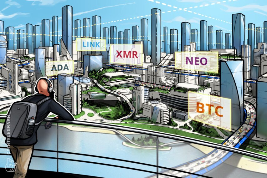 Prime 5 cryptocurrencies to observe this week: BTC, NEO, XMR, ADA, LINK