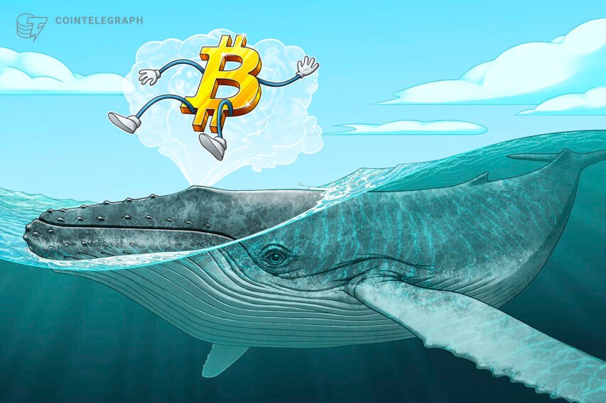 Bitcoin whale clusters pinpoint important ranges BTC should maintain to rally