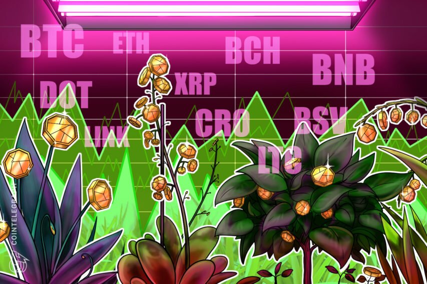 Value evaluation 10/9: BTC, ETH, XRP, BCH, BNB, DOT, LINK, CRO, LTC, BSV