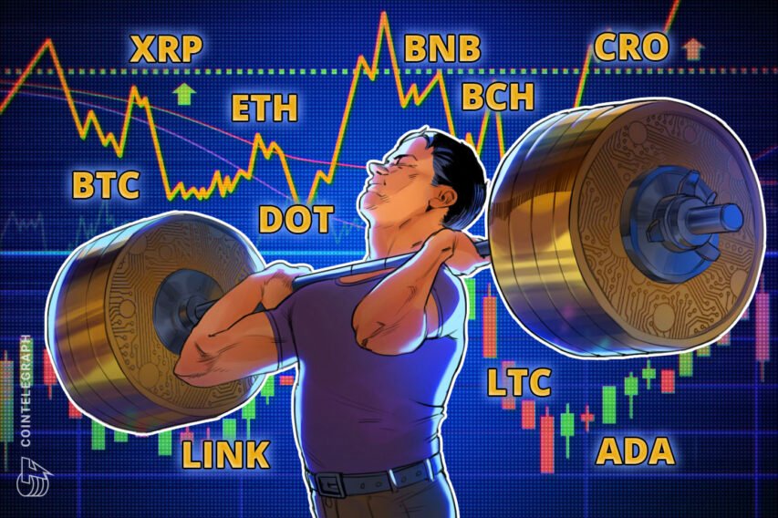Value evaluation 10/12: BTC, ETH, XRP, BCH, BNB, LINK, DOT, ADA, LTC, CRO
