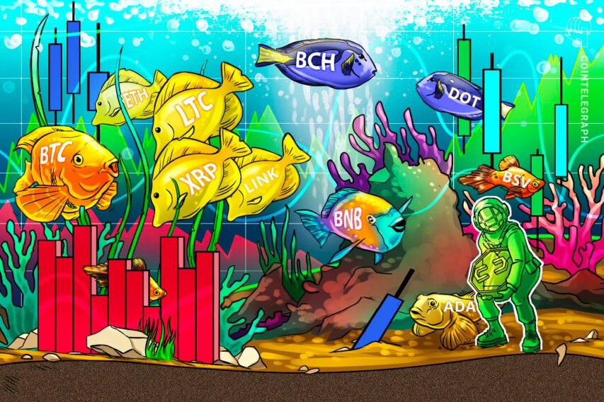 Value evaluation 11/4: BTC, ETH, XRP, BCH, LINK, BNB, LTC, DOT, ADA, BSV