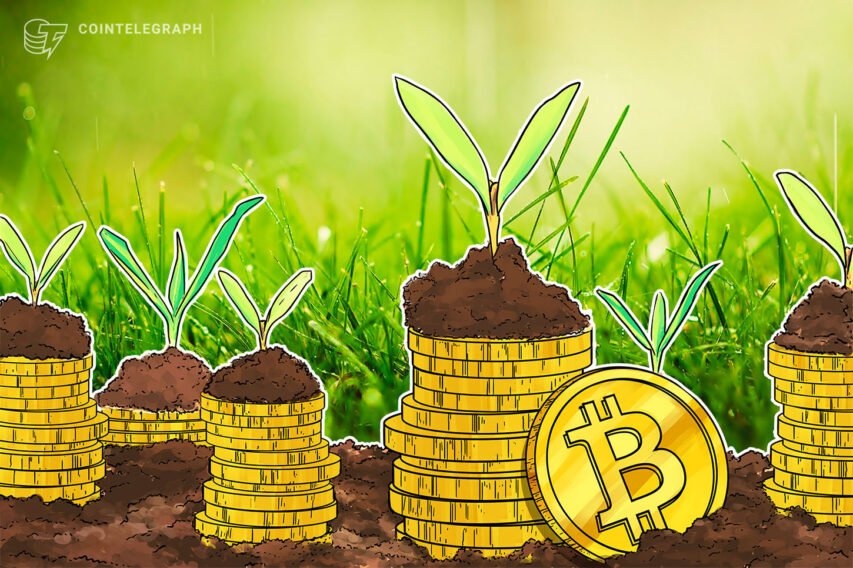 ‘I bought Bitcoin!’ — trick-or-treaters rewarded with crypto