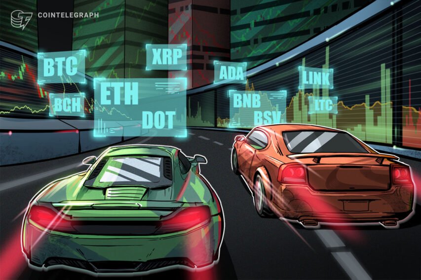 Worth evaluation 11/23: BTC, ETH, XRP, LINK, LTC, BCH, DOT, ADA, BNB, BSV