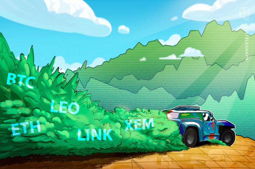 Prime 5 cryptocurrencies to look at this week: BTC, ETH, LINK, LEO, XEM