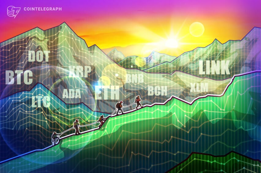 Value evaluation 11/30: BTC, ETH, XRP, BCH, LINK, LTC, ADA, DOT, BNB, XLM