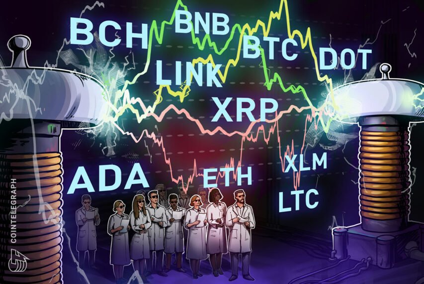 Value evaluation 12/2: BTC, ETH, XRP, LTC, BCH, LINK, DOT, ADA, BNB, XLM