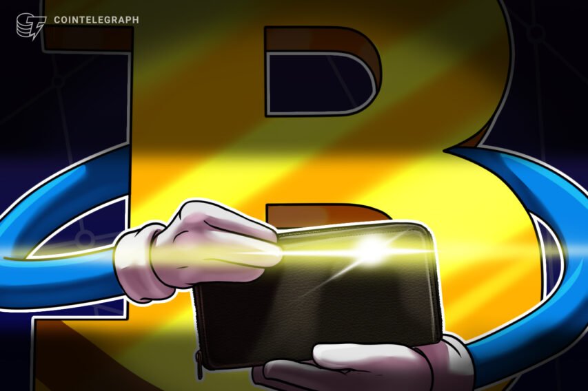 4 the reason why the highest 15 richest Bitcoin wallets nonetheless matter in 2021