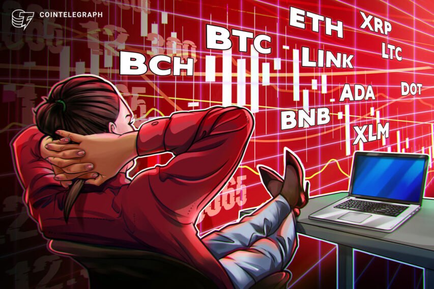 Worth evaluation 12/14: BTC, ETH, XRP, LTC, BCH, LINK, ADA, DOT, BNB, XLM