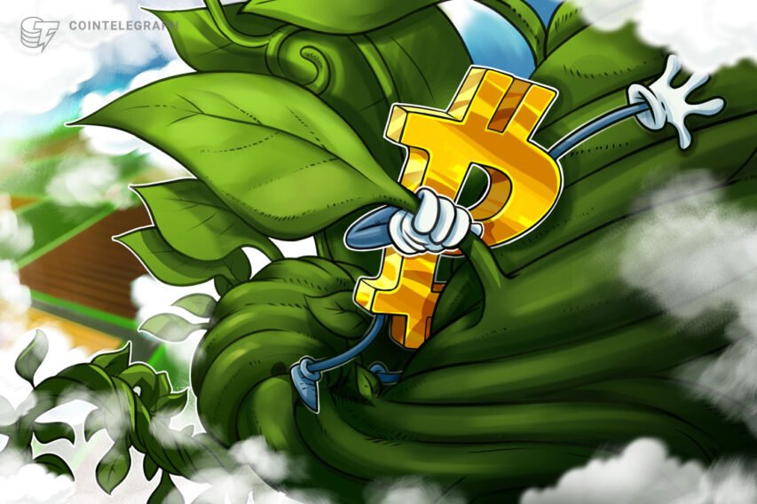 Bitcoin value climbs 20% in a single day as US banks brace for 40% revenue reduce