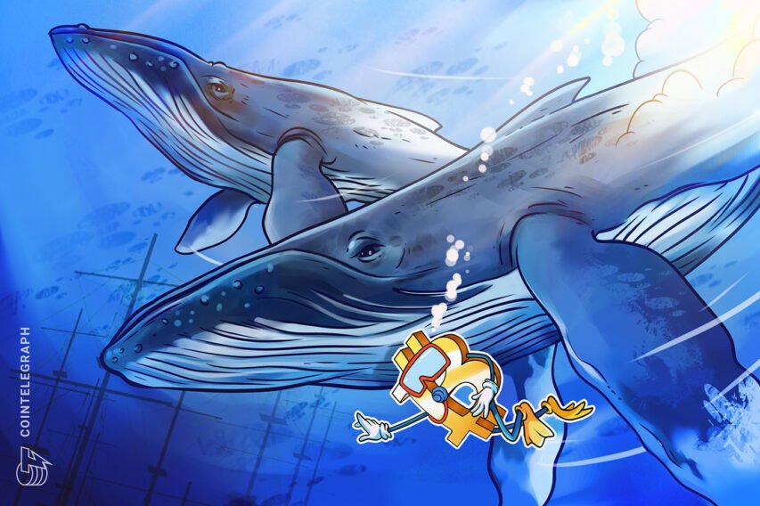 Bitcoin worth volatility spikes as BTC whales promote every new excessive