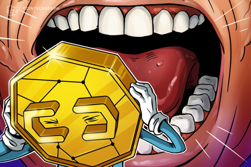 Dealer cries foul play as $30K Bitcoin value dip ends in biggest-ever every day restoration
