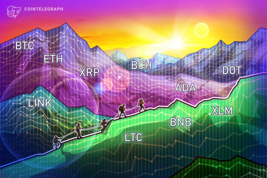 Value evaluation 1/11: BTC, ETH, XRP, LTC, BCH, ADA, DOT, LINK, BNB, XLM