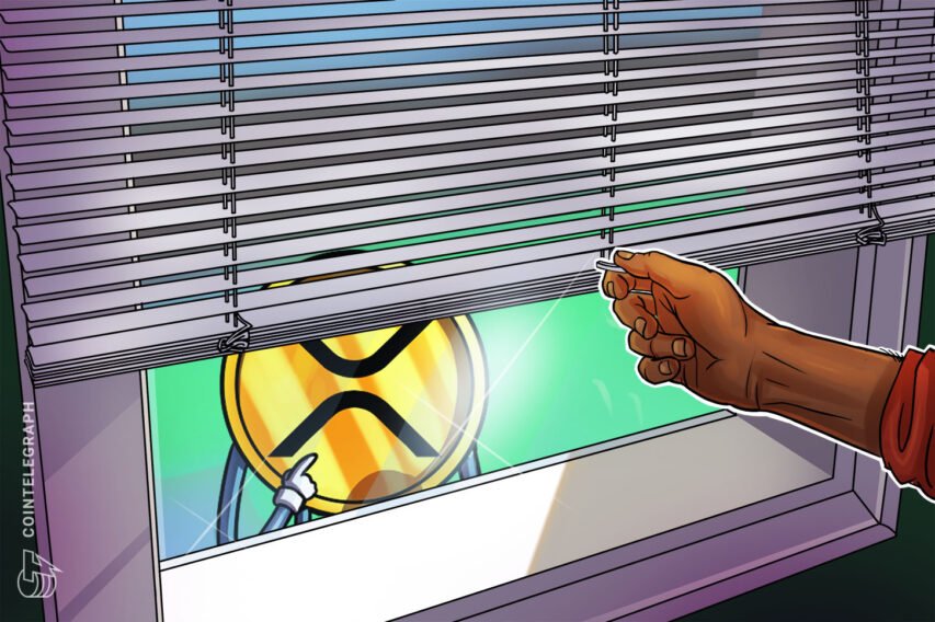 Bakkt has no plans to help XRP, says CEO