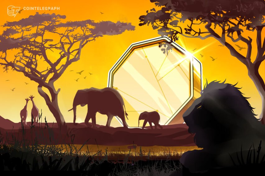 Token-based electrical energy top-up app expands in Africa however faces headwinds